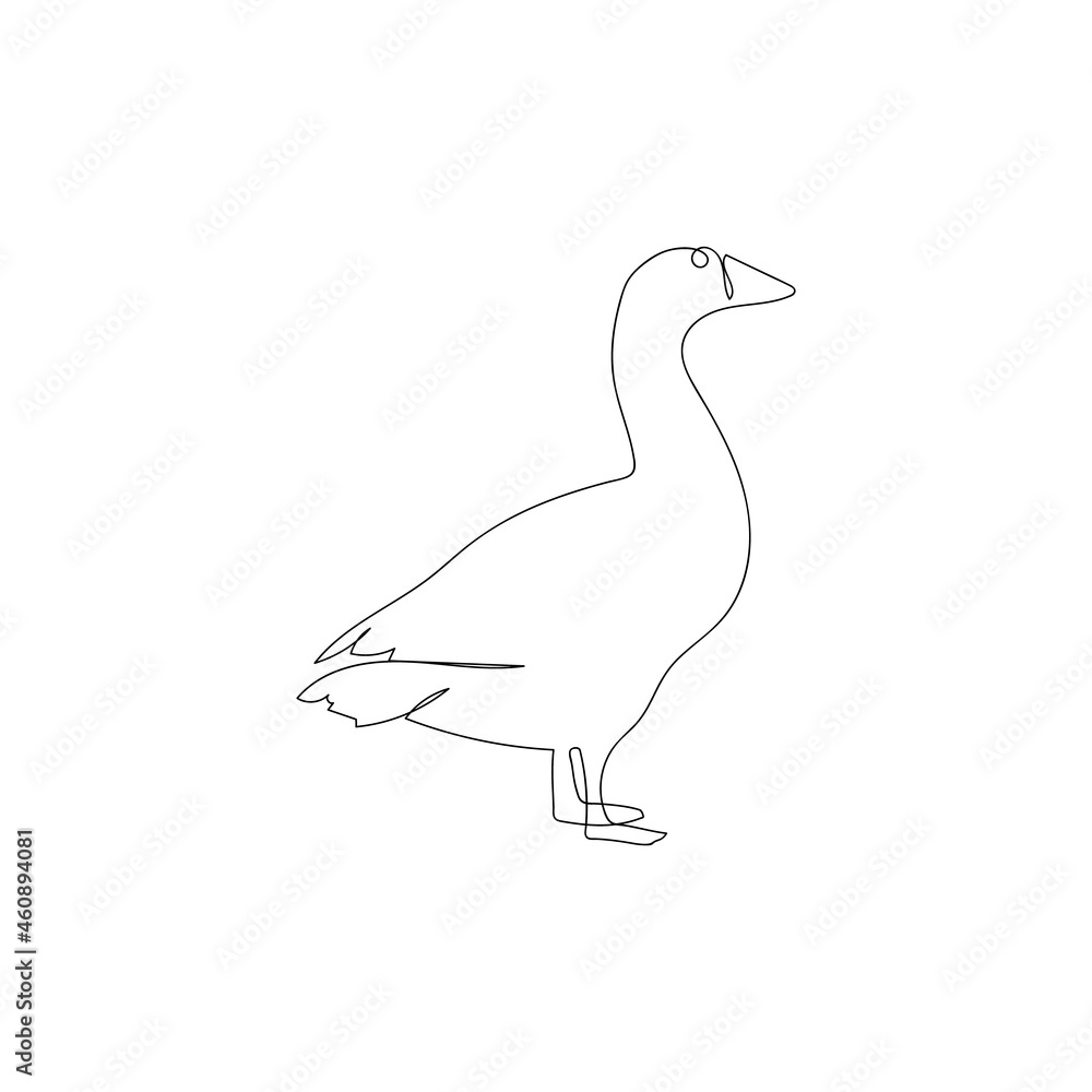 Continuous one line goose . Continuous line drawing of poultry, domestic animal. Hand drawn minimalism style vector illustration. Continuous one line goose . Continuous line drawing of poultry, domestic animal. Hand drawn minimalism style vector illustration.