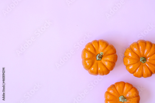 mini pumpkins, orange color, natural, halloween, white background or solid color, minimalist style