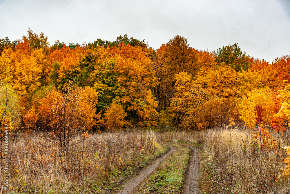 Naklejka premium October in the National Park!