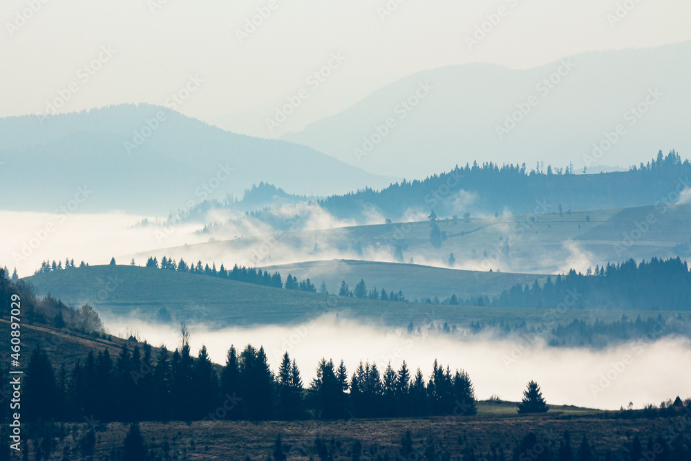 foggy travel scenery in mountains. wonderful autumn morning landscape with forests on hills