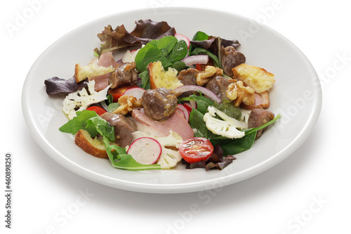 Perigord salad (duck gizzard confit, smoked duck breast, and walnuts), French cuisine photo