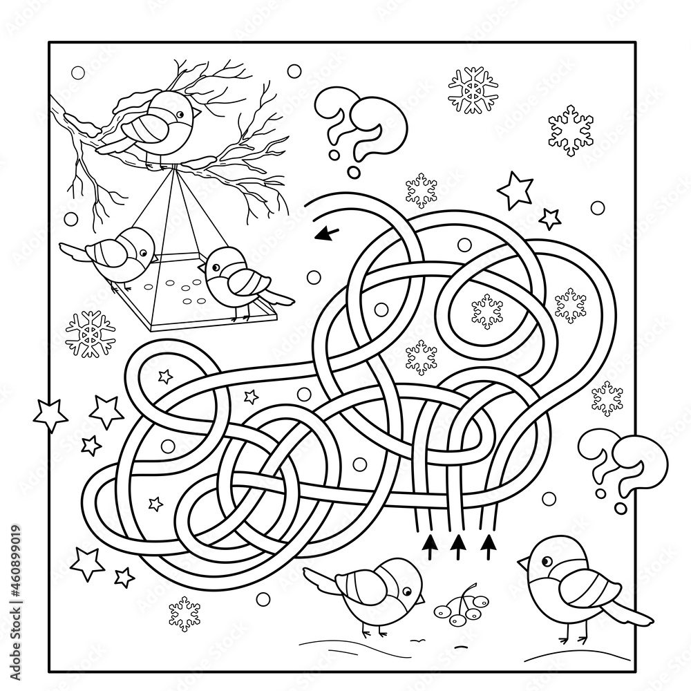 Maze or Labyrinth Game. Puzzle. Tangled Road. Coloring Page Outline Of cartoon birds in the winter. Bird feeder. Coloring book for kids.
