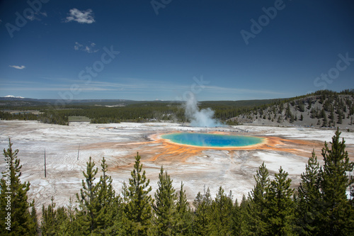 Panoramic extremely colorful Grand Prismatic Springs from a distance with bright blue sky and light steam lifting off lake of rainbow colors