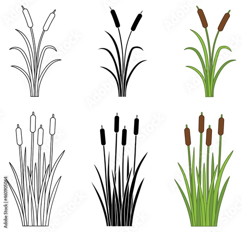Cattail Reeds and Marsh Grass Clipart Set - Outline, Silhouette and Color
