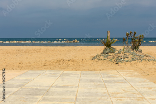 Sandy beach with palm tree stump