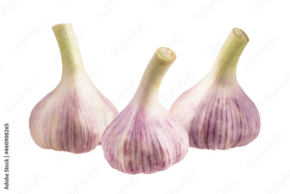 Obraz premium Garlics isolated on white background