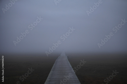 Boardwalk in the fog, Cape Cod, Massachusetts