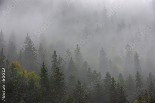 Fototapeta Naklejka Na Ścianę i Meble -  Steam after rain on a mountain slope