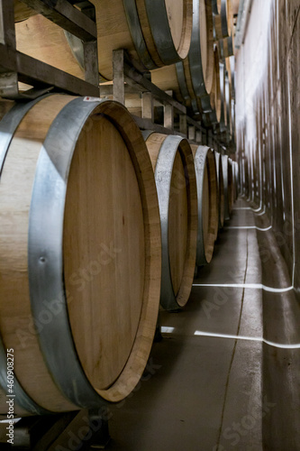 barricas de vino en bodega