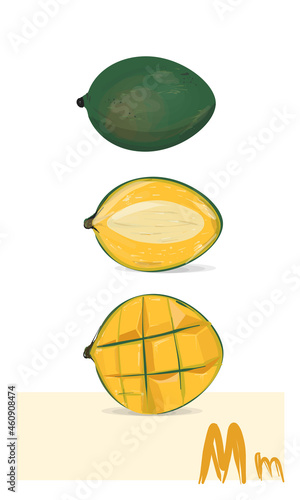 Mango fruit. Vector art. Green red mango, half and sliced peace of exotic tropical fruit.