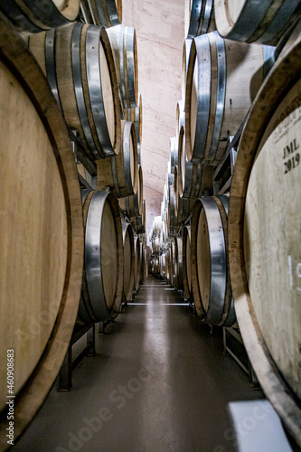 barricas de vino en bodega
