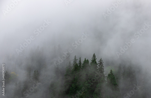 Landscape with fog over the forest © sebi_2569