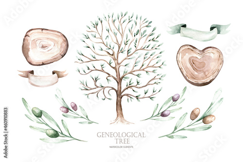 Fotografie Watercolor Genealogical Family tree