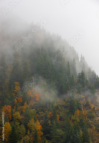 foggy landscape on a mountain slope