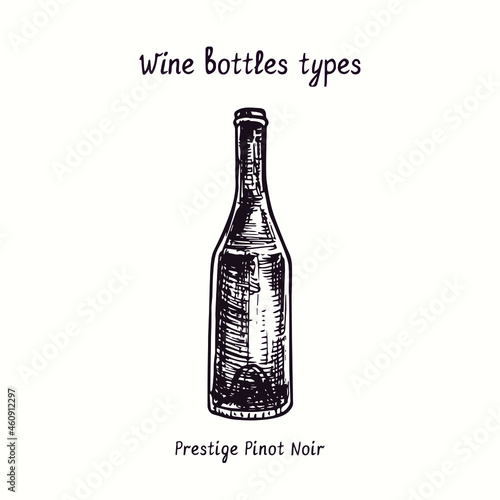 Wine bottles types collection, Prestige, Pinot Noir. Ink black and white doodle drawing in woodcut style.