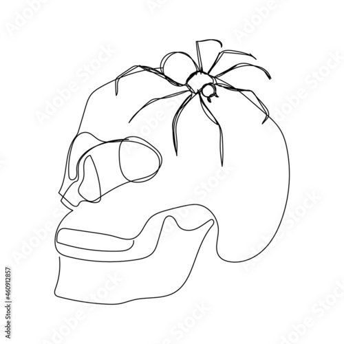 Human skull with spider one line art. Continuous line drawing of halloween theme, gothic, autumn mood, black Widow, karakurt, tarantula. photo