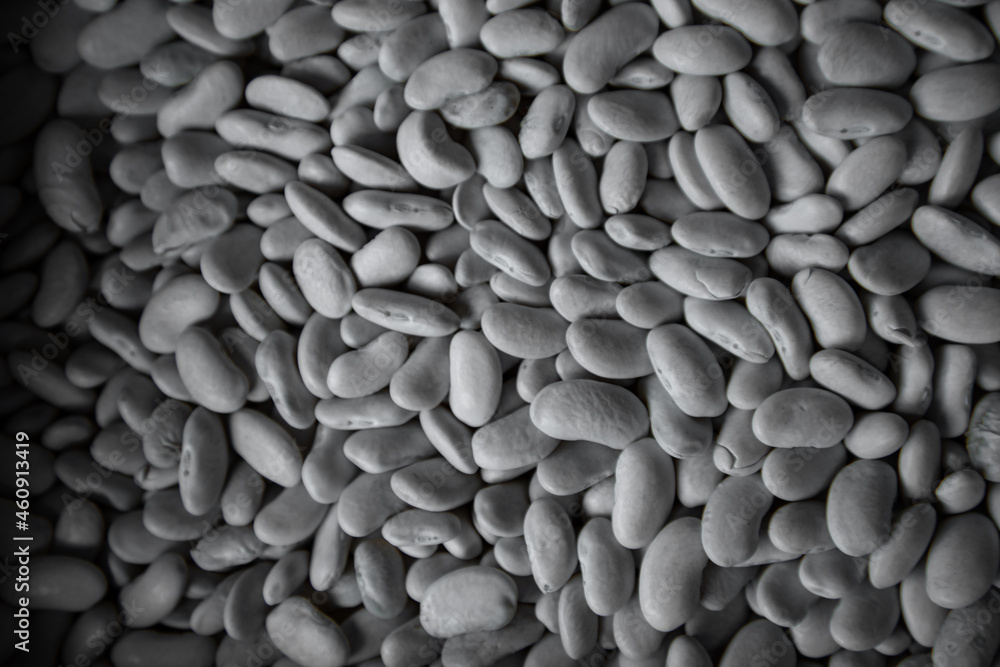 Healthy white beans. Legumes and seeds. Healthy white beans. Legumes and seeds.