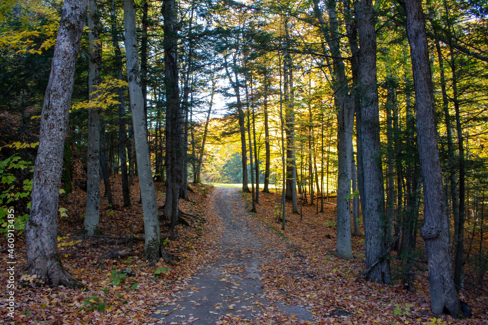 Fototapeta premium Montebello, Quebec, Canada in Fall