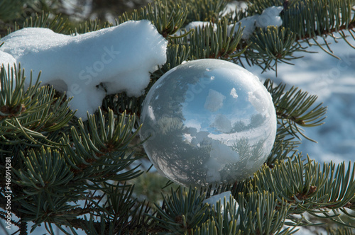 close-up: silver mirrorlike Christmas ornament on spruce branches photo