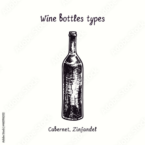 Wine bottles types collection, Cabernet, Zinfandel. Ink black and white doodle drawing in woodcut style.