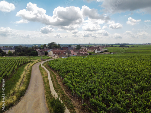Aerian view on walled green grand cru and premier cru vineyards with rows of pinot noir grapes plants in Cote de nuits  making of famous red Burgundy wine in Burgundy region of eastern France.