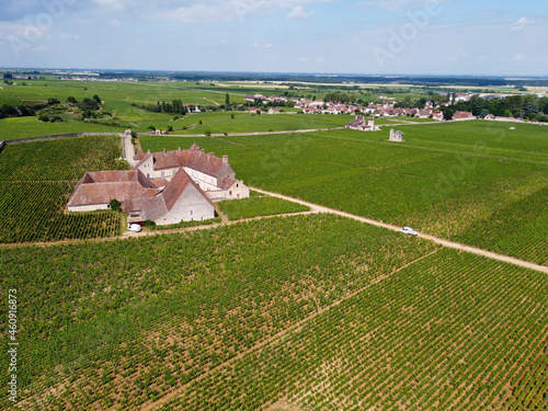 Aerian view on green grand cru and premier cru vineyards with rows of pinot noir grapes plants in Cote de nuits, making of famous red Burgundy wine in Burgundy region of eastern France. photo