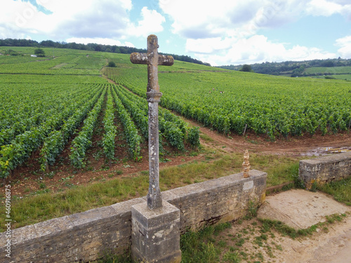Aerian view on walled green grand cru and premier cru vineyards with rows of pinot noir grapes plants in Cote de nuits, making of famous red Burgundy wine in Burgundy region of eastern France. photo