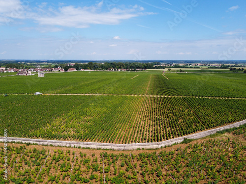 Aerian view on green grand cru and premier cru vineyards with rows of pinot noir grapes plants in Cote de nuits  making of famous red Burgundy wine in Burgundy region of eastern France.