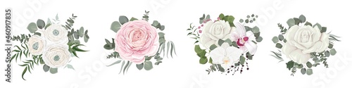 Vector flower set. White and pink roses, orchids, ranunculus, green plants and leaves, eucalyptus. Flowers and plants on a white background