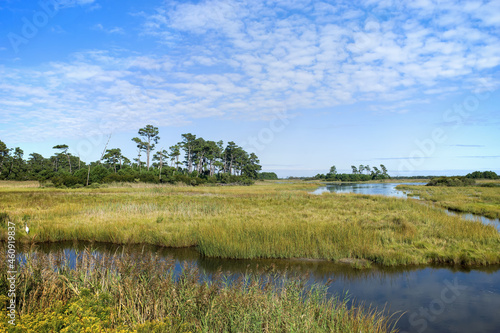 Wetlands and costal marsh in Virginia USA viewed in a bright autumn sun.  A wetland is a distinct ecosystem that is flooded by water, either permanently or seasonally and is a haven for wildlife. photo