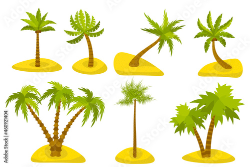Cute cartoon palm on island set isolated on white background. Exotic trees in desert in flat style. Double, triple palm. Tilted plant. 