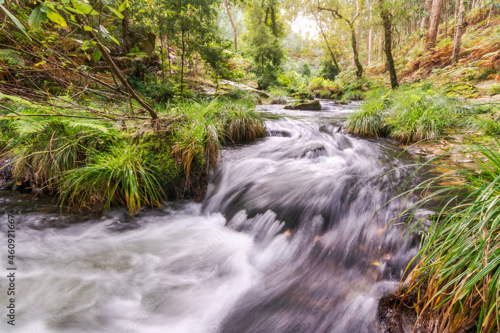 Río Xunco, Cervo, Lugo, Galicia. Río Xunco, Cervo, Lugo, Galicia.