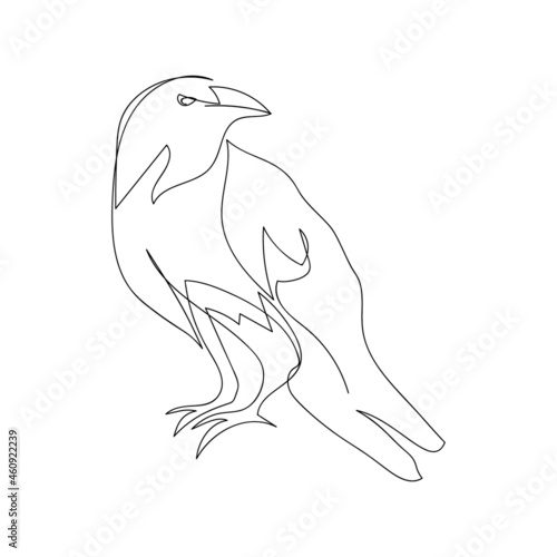 Rook, raven one line art. Continuous line drawing of halloween theme, gothic, ornithology, scary, bird.