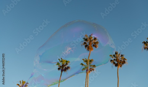 beautiful soap bubble blower fly among palm trees in summer sky, soap bubble
