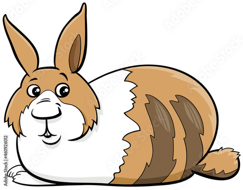 cartoon dwarf rabbit comic animal character