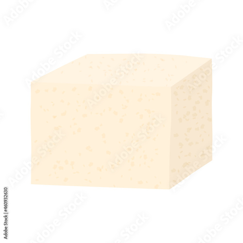 Tofu cheese. Soy cheese illustration isolated on white background.