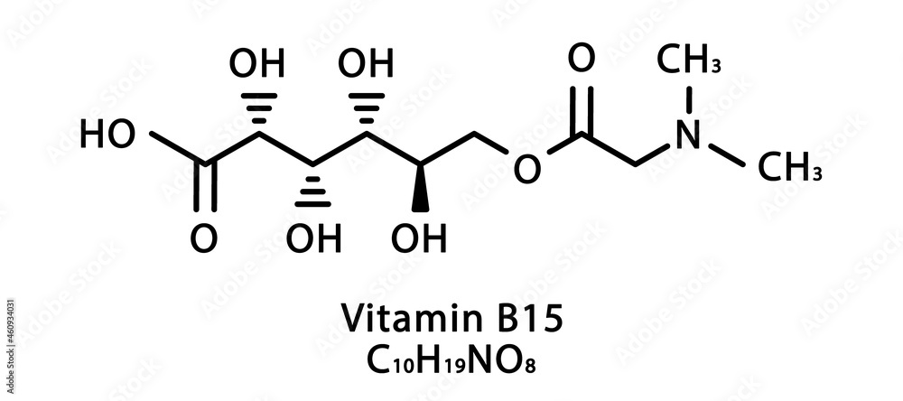 Vitamin B15 Pangamic acid molecular structure. Vitamin B15 Pangamic acid skeletal chemical formula. Chemical molecular formulas Vitamin B15 Pangamic acid molecular structure. Vitamin B15 Pangamic acid skeletal chemical formula. Chemical molecular formulas