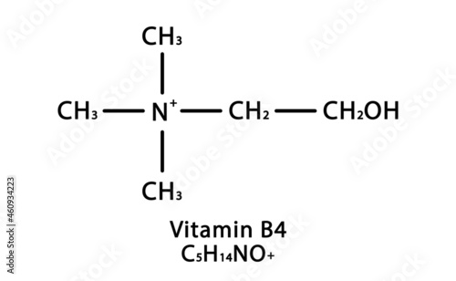 Vitamin B4 Choline molecular structure. Vitamin B4 Choline skeletal chemical formula. Chemical molecular formulas