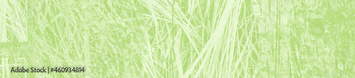 abstract light green background with copy space for design