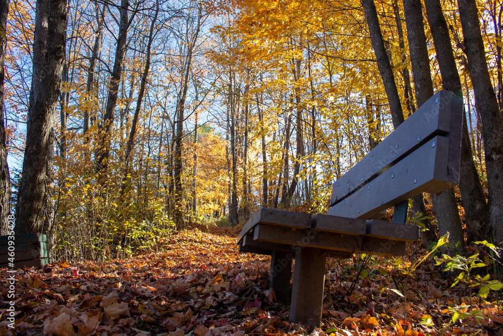 Fall in Canada