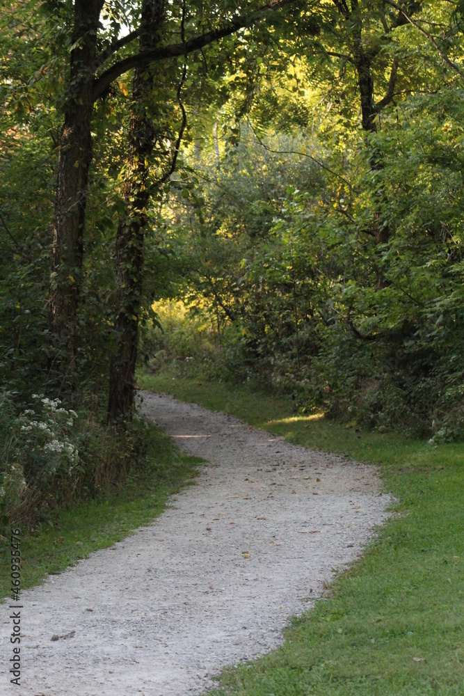 Hiking Trail in the Fall