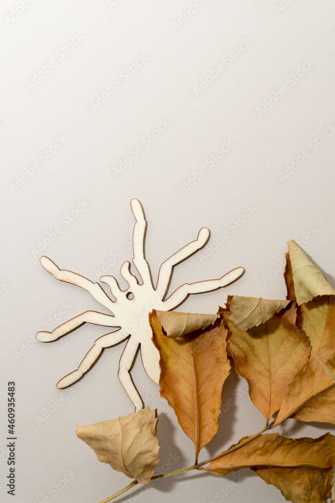 Fototapeta premium dried leaves on a beige background with wooden laser cut spider