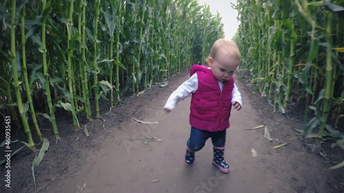 Baby Girl Learning to Walk in Halloween Corn Maze photo