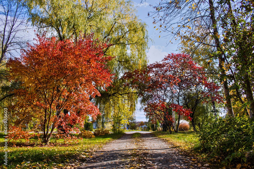 Naklejka premium Fall in Canada