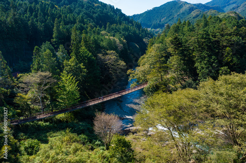 緑の秋川渓谷
