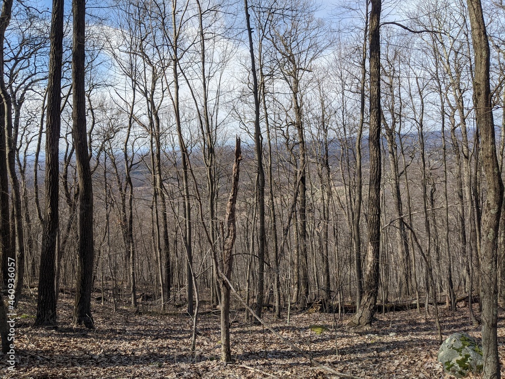 Appalachian Trail - Hudson Highlands, NY Appalachian Trail - Hudson Highlands, NY