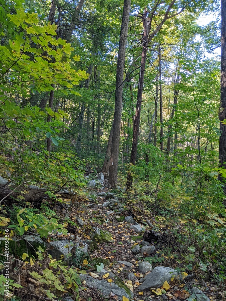 Fototapeta premium Appalachian Trail - Hudson Highlands, NY