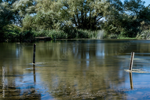 Calm water on a lake in a quiet countryside location