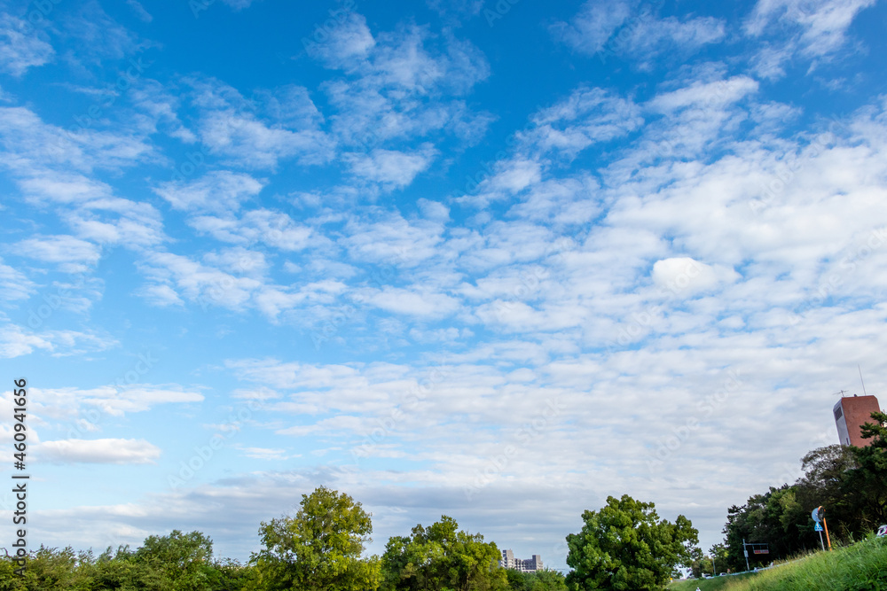 街の公園を覆うさわやかな青空 街の公園を覆うさわやかな青空