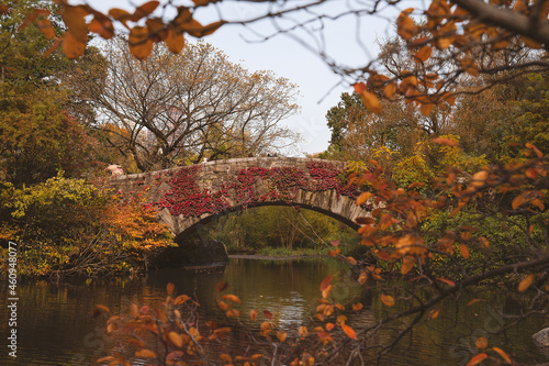 Central Park NYC Fall